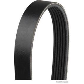 Acquista Cinghia servizi da HERTH+BUSS JAKOPARTS J1061325 a buon mercato per soli 11,41 €