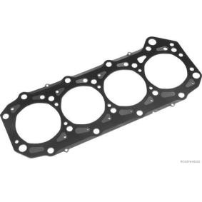 Zylinderkopfdichtung J1251093 für RENAULT TRUCKS