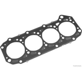 Zylinderkopfdichtung J1251094 für RENAULT TRUCKS