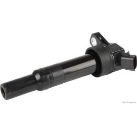 Zündspuleneinheit J5370500
