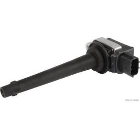 Zündspuleneinheit J5371002