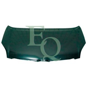 Motorhaube L00163