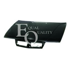 Motorhaube L00637