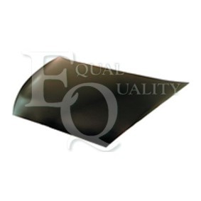Motorhaube L01206