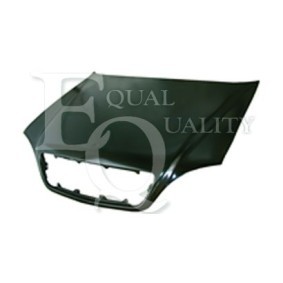 Motorhaube L01340
