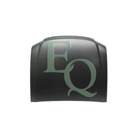 Motorhaube L02252