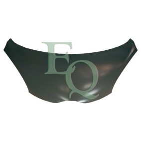 Motorhaube L02440 für C1 (PM_, PN_) für 321,61 CHF