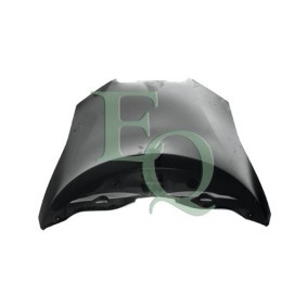 Motorhaube L02500