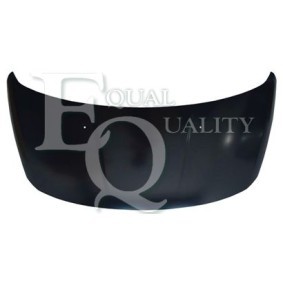 Motorhaube L02564