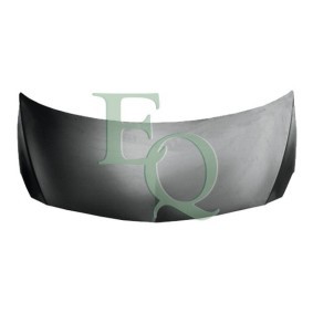 Motorhaube L02587