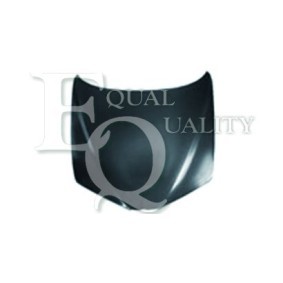 Motorhaube L03598