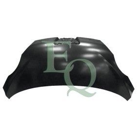 Motorhaube L03780