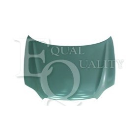 Motorhaube L04504