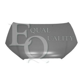 Motorhaube L04533