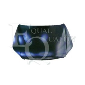 Motorhaube L04539