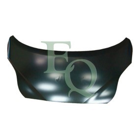 Motorhaube L05718