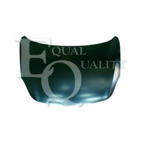 Motorhaube L05820