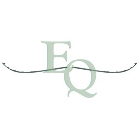 Zierleiste, Stoßstange von EQUAL QUALITY
