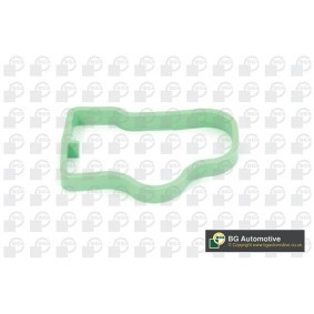 Ansaugkrümmerdichtung von BGA
