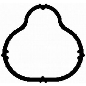 Ansaugkrümmerdichtung von BGA