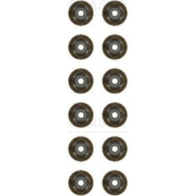 Dichtungssatz, Ventilschaft N93214-00 von GLASER günstig für 44,02 € online kaufen