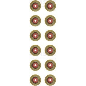 Köp Packningssats, ventiler av GLASER N93295-00 till det låga priset 312,17 kr