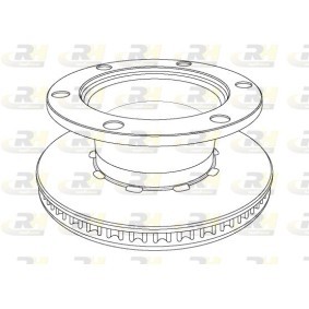 Comprar Disco de freno de ROADHOUSE NSX1125.20 a bajo precio de 214,53 €