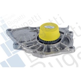 Wasserpumpe von BUGATTI