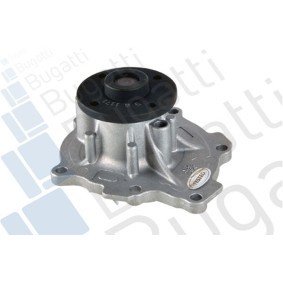Achetez des Pompe à eau BUGATTI PA10239 à prix pour 70,36 €