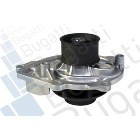 Achetez des Pompe à eau BUGATTI PA10248 à prix pour 74,55 €