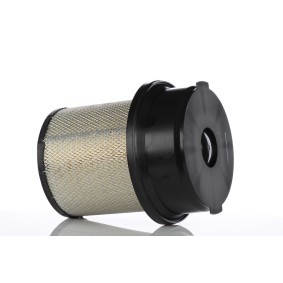 Achetez des Filtre à carburant PZL Filters PD141 à prix pour 22,30 €