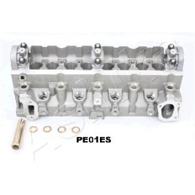 Compre Cabeça do motor da ASHIKA PE01ES a um preço baixo por 619,84 €