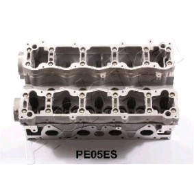 Compre Cabeça do motor da ASHIKA PE05ES a um preço baixo por 614,10 €