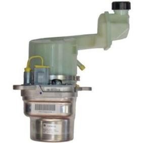 Acquista Pompa idraulica, sterzo da GENERAL RICAMBI PEI017 a buon mercato per soli 604,10 €