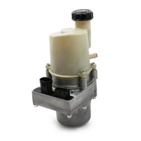 Acquista Pompa idraulica, sterzo da GENERAL RICAMBI PEI023 a buon mercato per soli 534,98 €
