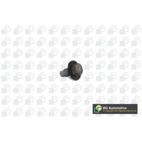 Compre Parafuso de fecho, cárter do óleo da BGA PK2305 a um preço baixo por 6,70 €