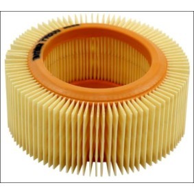 Luftfilter PM800