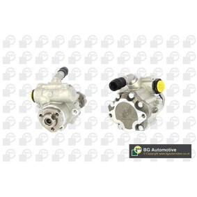 Acquista Pompa idraulica, sterzo da BGA PSP0110 a buon mercato per soli 103,03 €