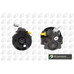 Servopumpe von BGA