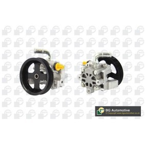 Servopumpe von BGA