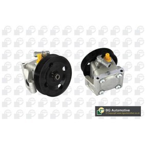 Servopumpe von BGA