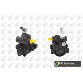 Servopumpe PSP4200
