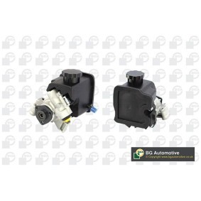 Servopumpe von BGA