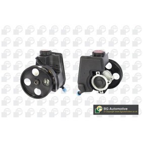 Servopumpe PSP6710 für 206 Schrägheck (2A/C) für 108,33 CHF