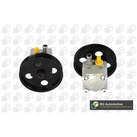 Servopumpe von BGA