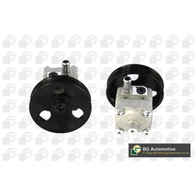 Servopumpe von BGA
