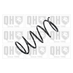 Acquista Molle ammortizzatori da QUINTON HAZELL QCS6088 a buon mercato per soli 48,48 €
