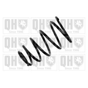 Acquista Molle ammortizzatori da QUINTON HAZELL QCS6121 a buon mercato per soli 39,46 €