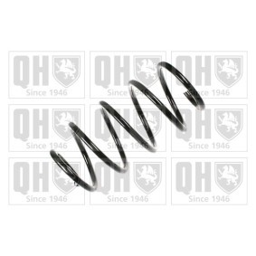 Acquista Molle ammortizzatori da QUINTON HAZELL QCS6606 a buon mercato per soli 69,42 €