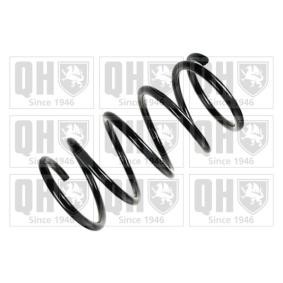 Acquista Molle da QUINTON HAZELL online per CARNIVAL I (UP) a prezzi moderati